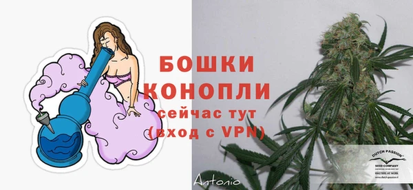 ECSTASY Навашино