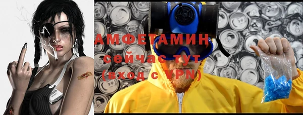 трава Надым