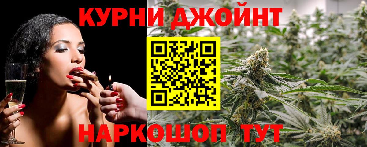 Ревда  Конопля сатива  МАРИХУАНА планчик  Конопля OG Kush  Вход с VPN 